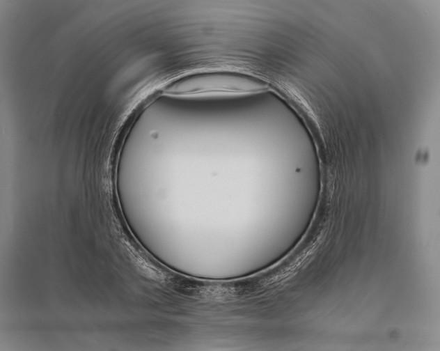 X0000095520789200801111435