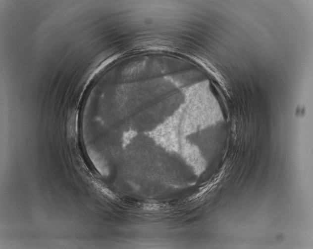 X0000095520790200801111435