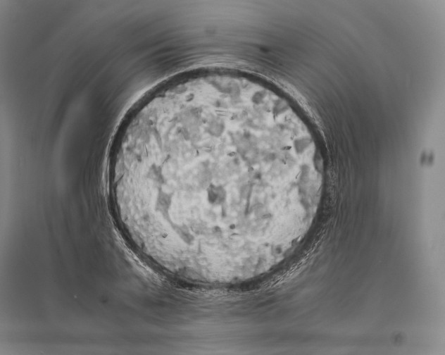 X0000095520791200801111435