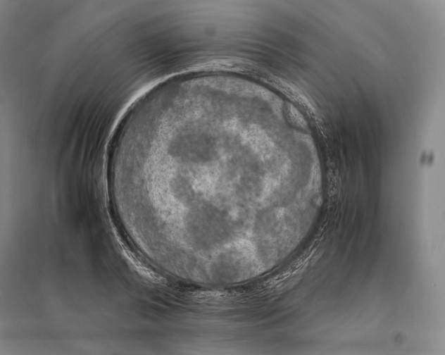 X0000095520792200801111435