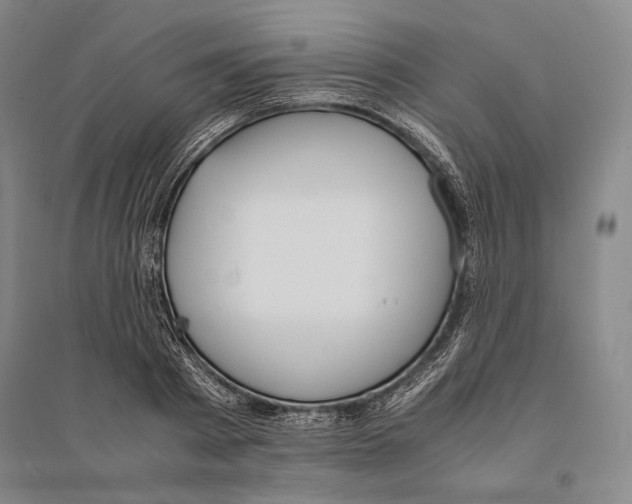 X0000095520793200801111435