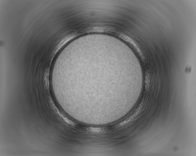 X0000095520794200801111435