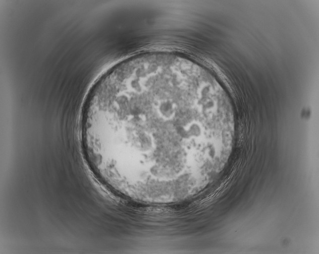 X0000095520795200801111435