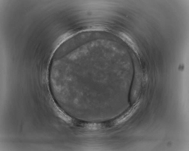 X0000095520797200801111435