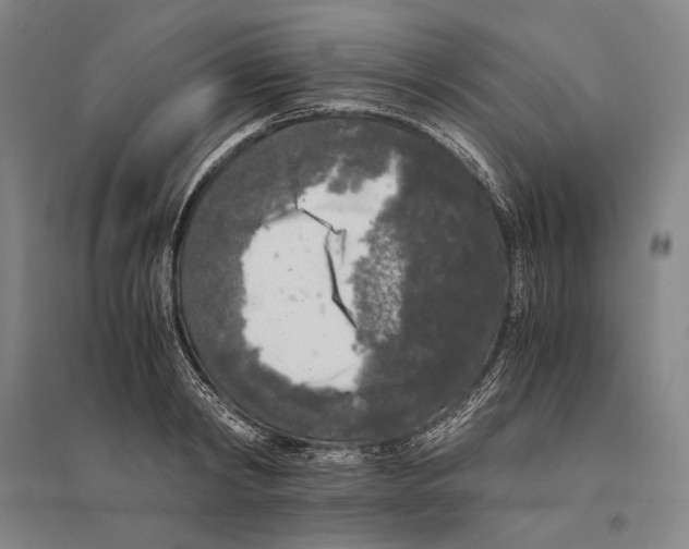 X0000095520798200801111435