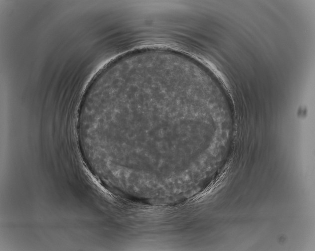 X0000095520799200801111435