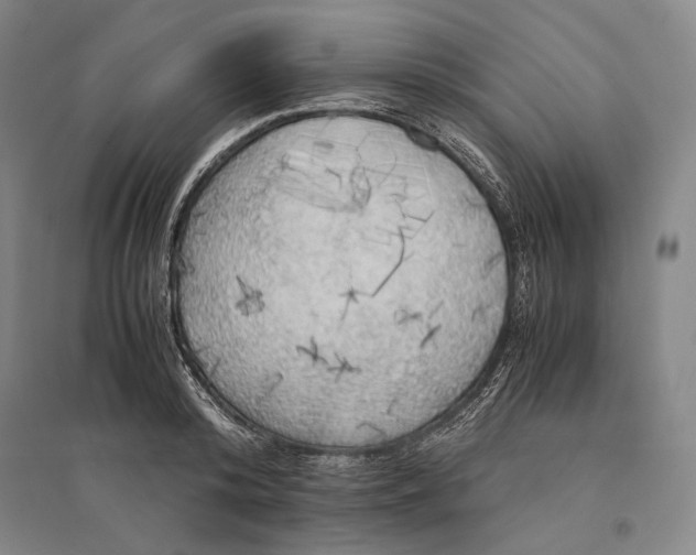 X0000095520800200801111435