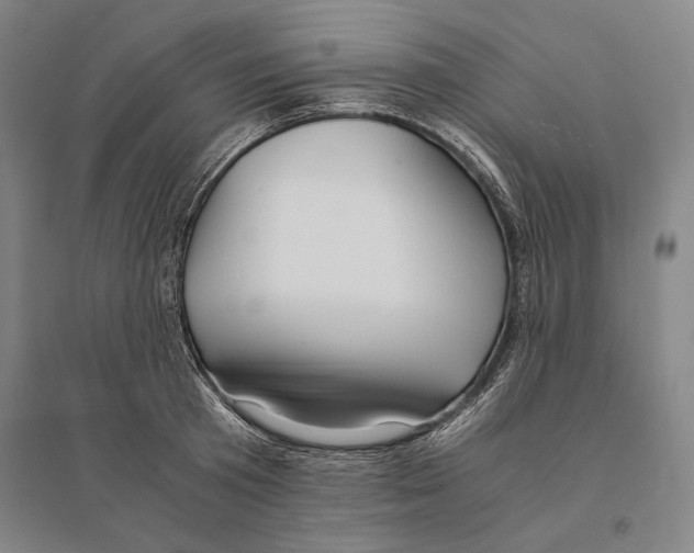 X0000095520801200801111435