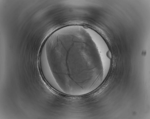 X0000095520802200801111435