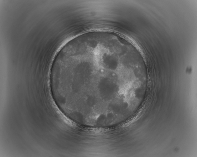 X0000095520803200801111435