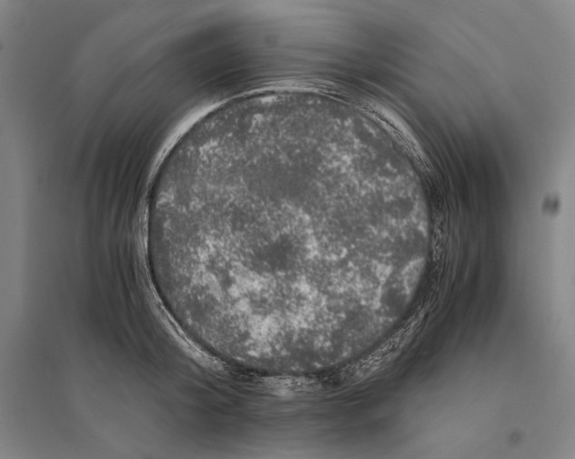 X0000095520804200801111435