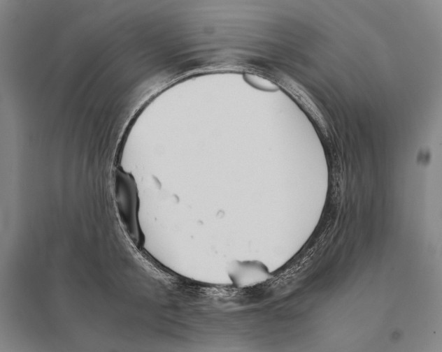 X0000095520805200801111435