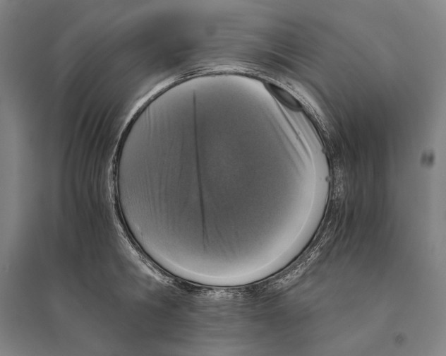 X0000095520806200801111435