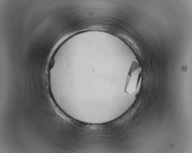 X0000095520808200801111435