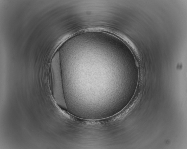 X0000095520809200801111435