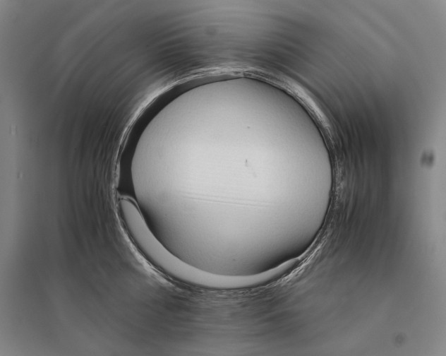 X0000095520810200801111435