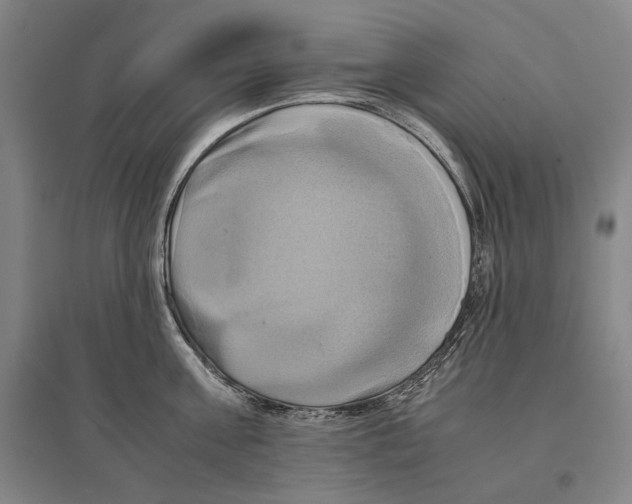 X0000095520811200801111435