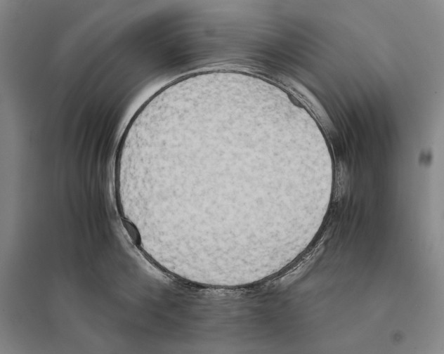 X0000095520812200801111435