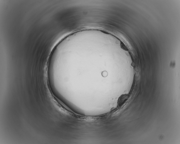 X0000095520814200801111435