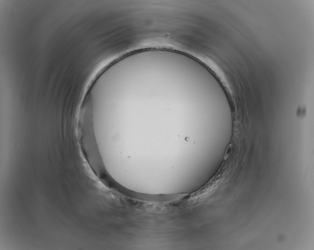 X0000095520815200801111434