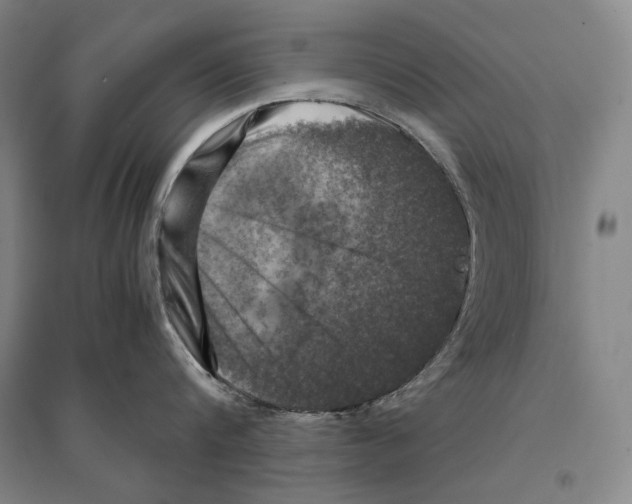 X0000095520816200801111434