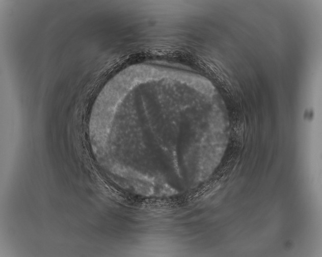 X0000095520817200801111434