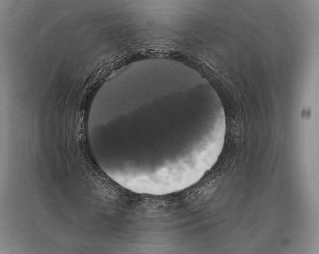 X0000095520818200801111434