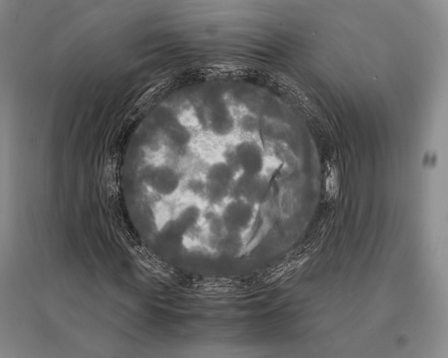 X0000095520819200801111434