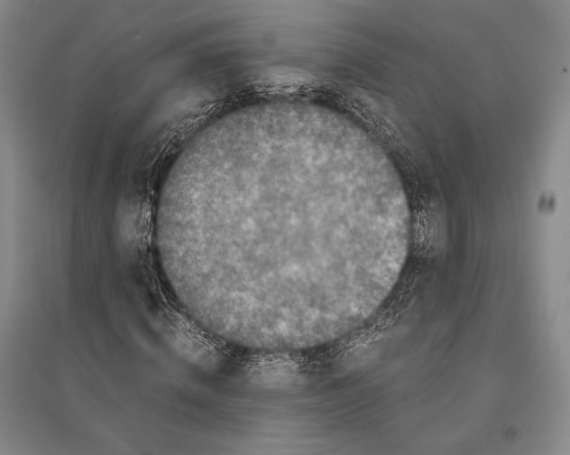 X0000095520820200801111434