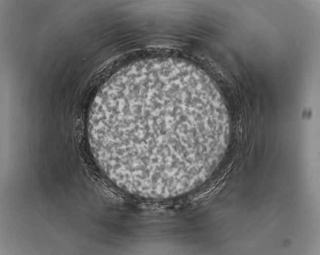 X0000095520821200801111434