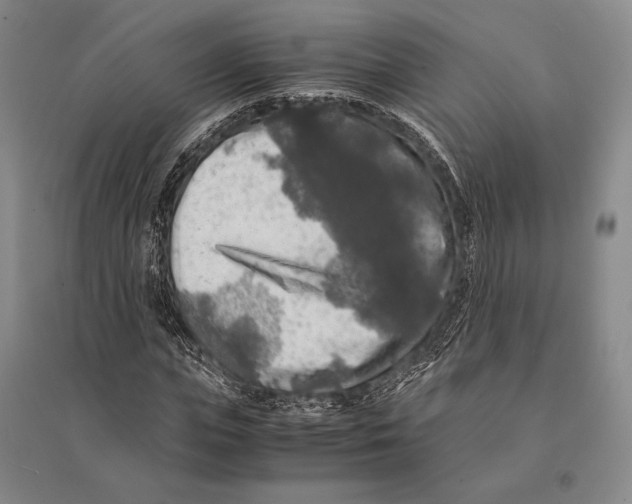 X0000095520823200801111434