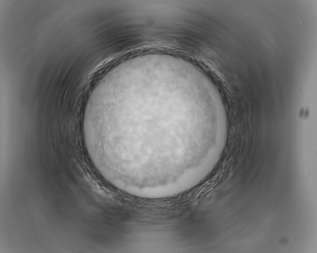 X0000095520824200801111434