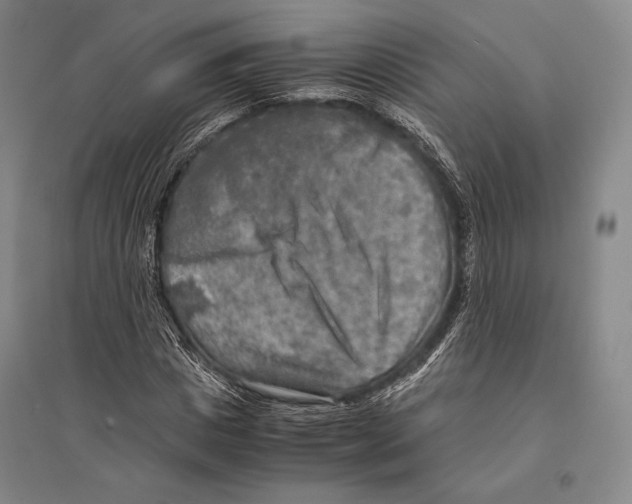 X0000095520825200801111434