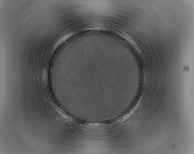 X0000095520826200801111434