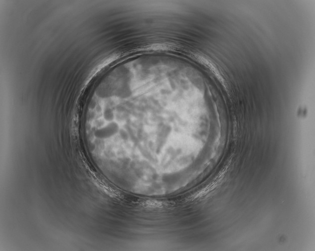 X0000095520827200801111434