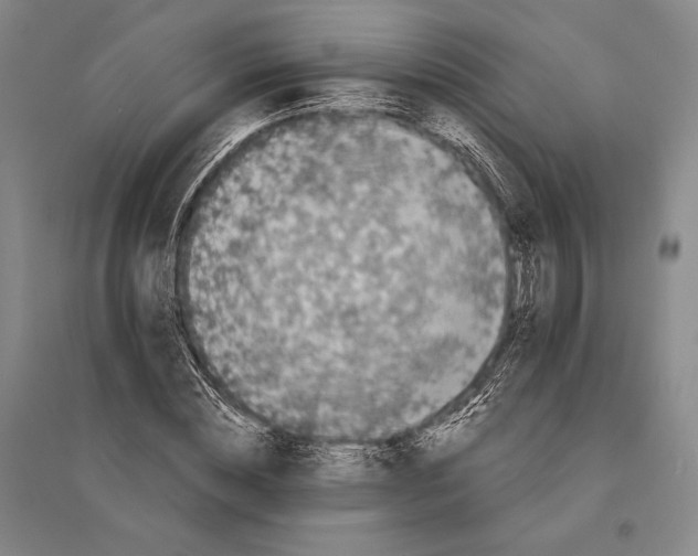 X0000095520828200801111434