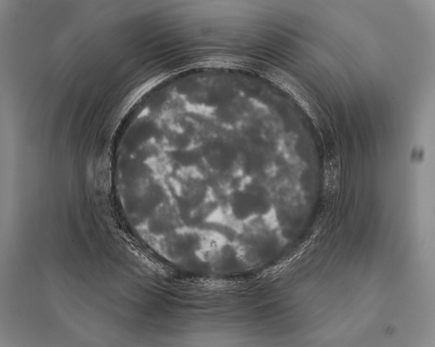 X0000095520829200801111434