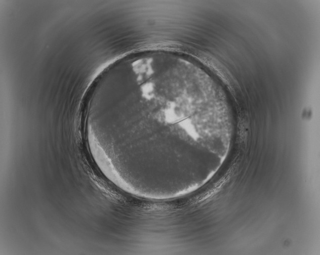 X0000095520830200801111434