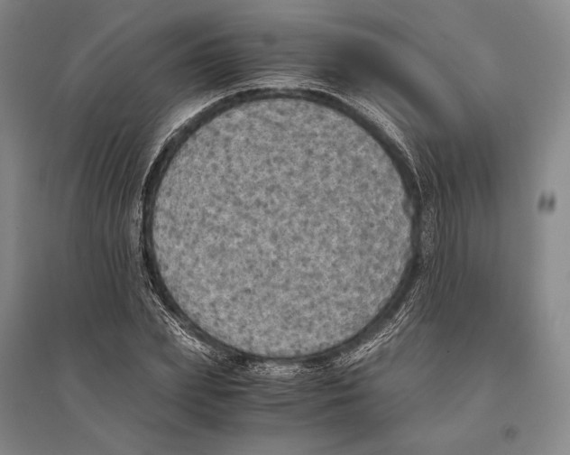 X0000095520831200801111434