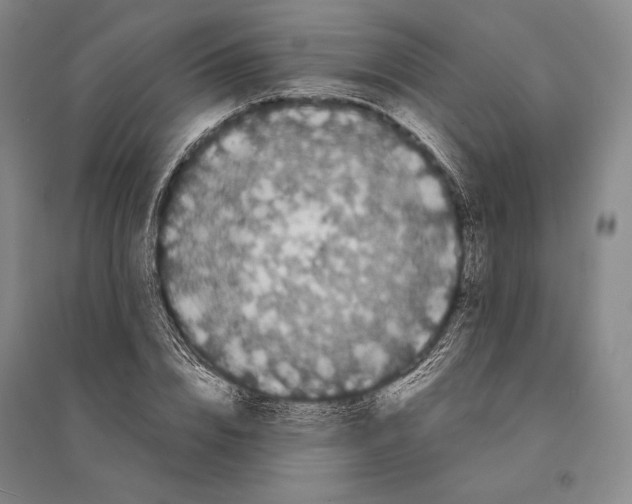 X0000095520832200801111434