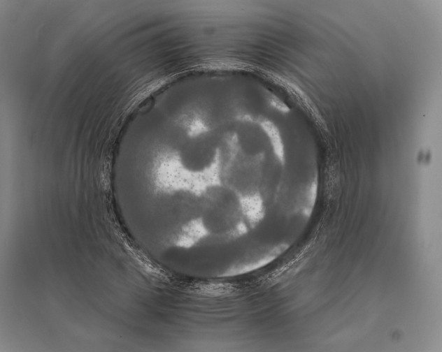 X0000095520833200801111434