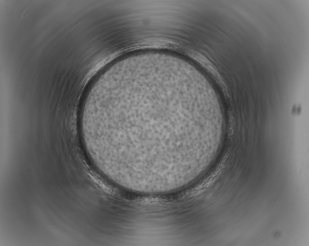 X0000095520834200801111434