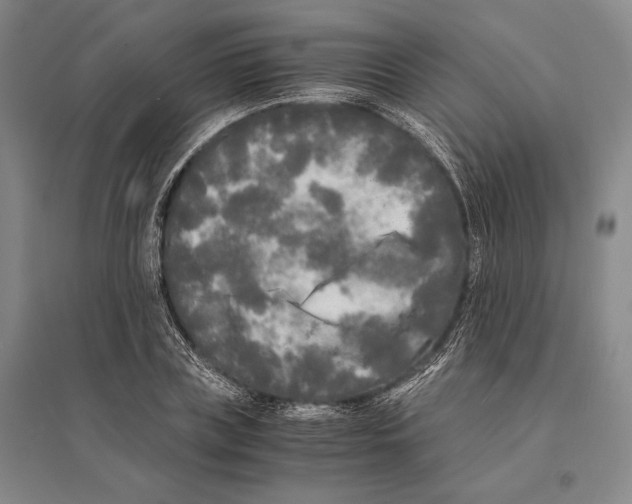 X0000095520835200801111434