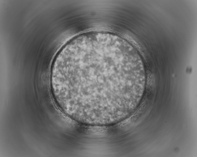 X0000095520836200801111434