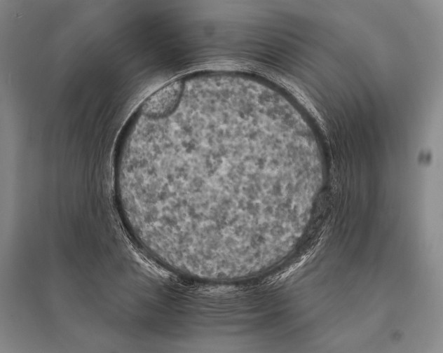 X0000095520837200801111434