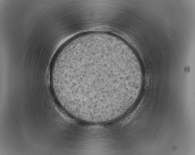 X0000095520838200801111434