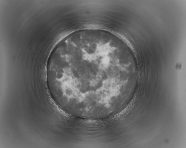 X0000095520839200801111434