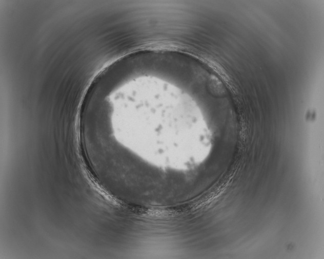 X0000095520840200801111434