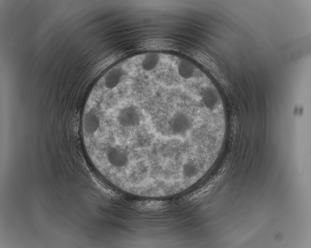 X0000095520841200801111434