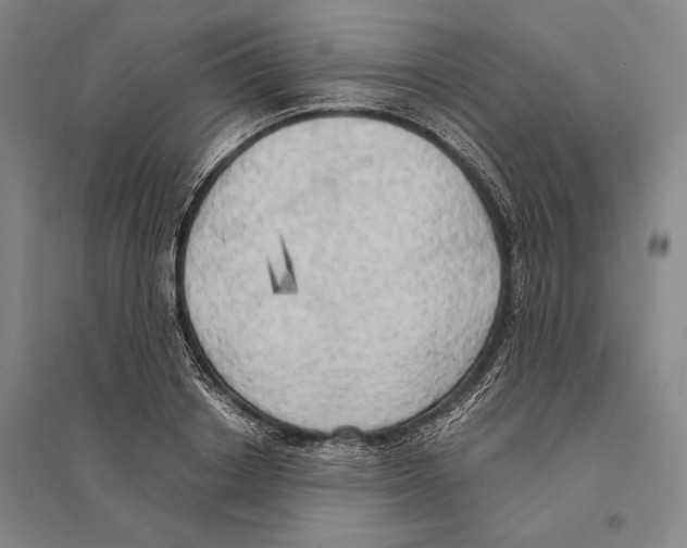 X0000095520842200801111434